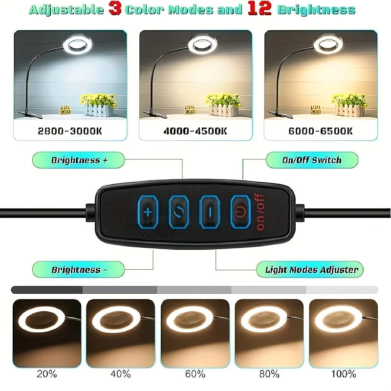 LED Clip-On Magnifying Desk Lamp 5X Magnifier USB Powered 3 Colors 10 Levels Dimmable Adjustable Flexible Gooseneck Sturdy Metal Clamp Base Makeup Reading Craft Repair Sewing Hobby Light for Office Study Bedroom Living Room W